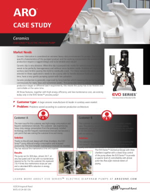 IRITS-0124-001 EN_Ceramic Case Study